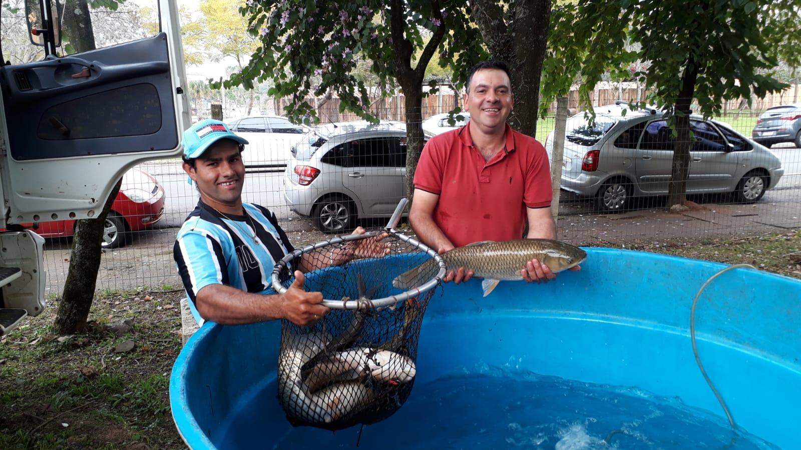 Feira do Peixe Vivo de Lajeado ocorre nesta sexta-feira, 09/06